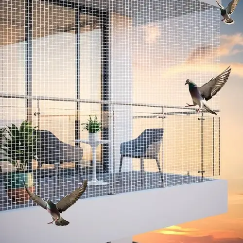 Bird Net
